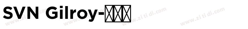 SVN Gilroy字体转换